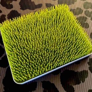 Boon lawn style bottle drying rack